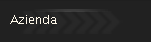 Azienda